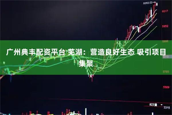 广州典丰配资平台 芜湖：营造良好生态 吸引项目集聚